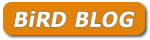 bird blog logo